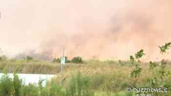 La cenere piove da enormi incendi d'erba fino a Weston - Buzznews portale di notizie