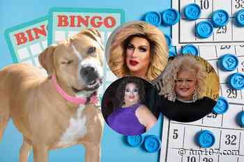 Fall River Animal Shelter to Host Drag Bingo at Whites of Westport - Fun 107