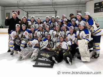 Wildcats win MFHL U18 AAA title - The Brandon Sun