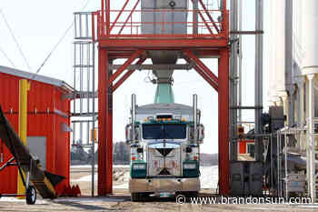 Rural awakening: Security risks on the farm - The Brandon Sun