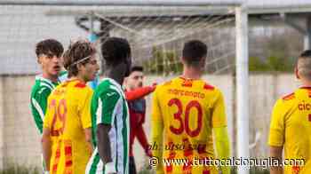 Eccellenza A/B - Si salvano Borgorosso e Manduria, il Barletta non fa sconti - TuttoCalcioPuglia.com