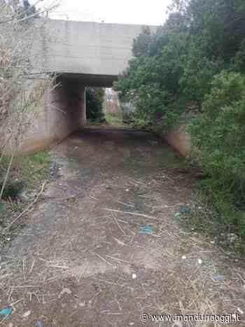 MANDURIA - L'esempio virtuoso della signora Antonietta Lombardi: insieme a suoi amici, ha rimosso tutti i rifiuti di un'area a nord della Salina - ManduriaOggi