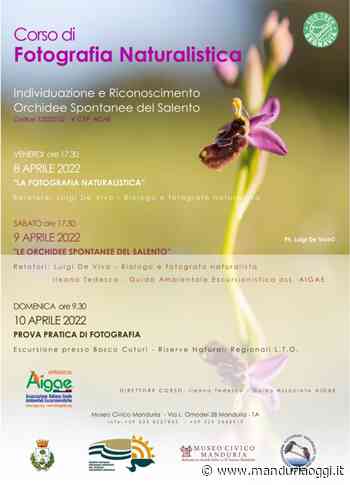 MANDURIA - Dall'8 al 10 aprile un corso di fotografia naturalistica e di riconoscimento delle orchidee spontanee del Salento - ManduriaOggi