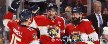 Les Panthers en séries