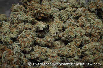 Committee recommending stricter buffers on retail marijuana sales in vicinity of schools, parks and other Riverhead hubs - Riverhead News Review - Riverhead News Review