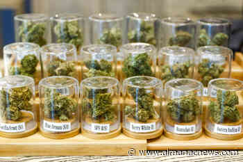 Redwood City's new storefront retail to end 'cannabis desert' in San Mateo County - The Almanac Online