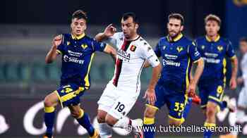 Verona-Genoa: dove seguire in diretta l'incontro - TuttoHellasVerona