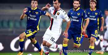 Verona a caccia del successo nr 7 contro il Genoa - TG Gialloblu