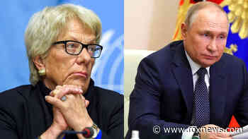 Putin should face global arrest warrant: ex-UN prosecutor who investigated war crimes in Rwanda, Yugoslavia