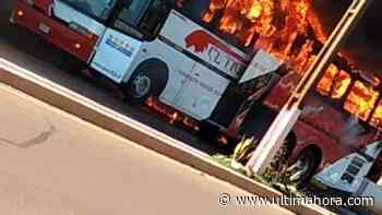 Ómnibus es consumido por llamas en Edelira - Última Hora