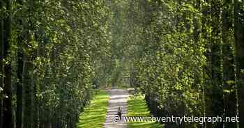 The expensive village 30 minutes from Coventry shrouded in showbiz tragedy - Coventry Live