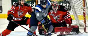 Les Sags ne font pas le poids face aux Voltigeurs