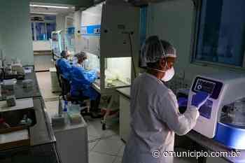 Dengue: morte de idoso em Brusque é investigada após suspeita da doença - O Município