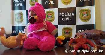 Idoso acusado de estuprar bisneta de cinco anos em Brusque é preso em São Paulo - O Município