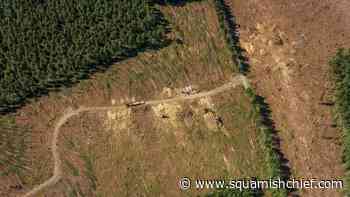 West Van council to pressure B.C. gov to extend herbicide spray feedback deadline - Squamish Chief