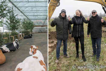 Dresden: Mit Euter-Massage und Reinigungs-Roboter - Hier entsteht Sachsens modernster Kuhstall - TAG24