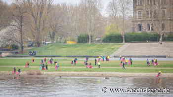 Dresden: Nach Corona-Pause: Frühjahrsputz an der Dresdner Elbwiesen - Sächsische.de