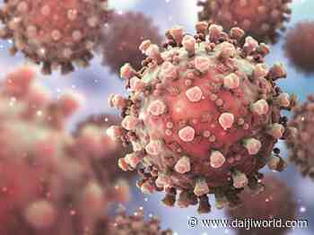 Karnataka on Sunday, April 3 registered 50 new coronavirus cases - Daijiworld.com