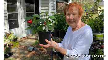 Master Gardener plant sale to be held at Macon Farmers Market - 13WMAZ.com