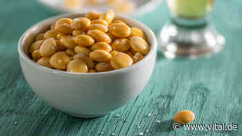 3 Gründe, mehr Lupinen zu essen - Vital