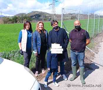 GIORNATA DEDICATA ALL'AMBIENTE IN C.DA PANTANO - TV Sette Benevento