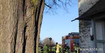 200 Jahre alten Linde in Lohmar hat nach Sturm großen Riss - Kölner Stadt-Anzeiger