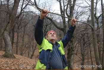 Marco Bellone, castanicoltore a Boves, suonatore di tromba diplomato e vicepresidente Cia Cuneo - Il Corriere di Alba, Bra, Langhe e Roero