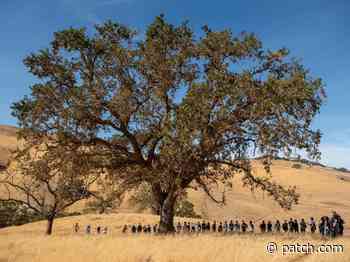 207-Acre Educational Preserve Near Concord Opens To Public - Patch
