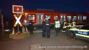 Blinder Mann und Hund sterben an Bahnübergang