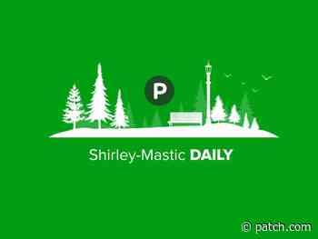 🌱 Shirley-Mastic Daily: Fine Arts Wall + Bunnies! At MMSPL - Patch