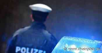 Mehrere Polizisten bei Einsätzen verletzt - Heidelberg/Mannheim - Rheinpfalz.de