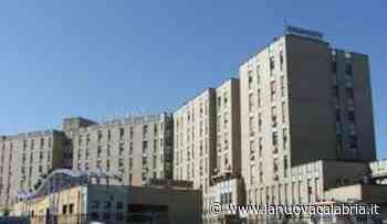 Asp Crotone, Venneri (De Magistris Presidente): "Sperlì garantisca trasparenza e accessi agli atti” - La Nuova Calabria