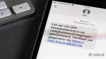 Proef succesvol: slachtoffers online fraude halen geld terug - NOS