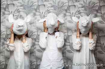 Paola, Michela e Matteo: la sfida di tre giovani - Termoli Online