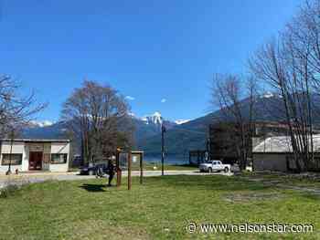 Online auction will raise funds for new Kaslo library – Nelson Star - Nelson Star