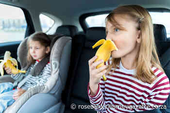 6 best snacks for children on the move - Rosebank Killarney Gazette