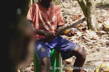Channel 4 Dispatches reveals how Cadbury profits from illegal child labour