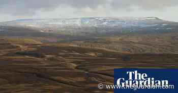 Country diary 1947: hard winter takes toll on Cumberland wildlife - The Guardian