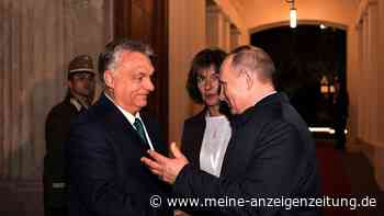 Parlamentswahl in Ungarn: Putin gratuliert Orbán zum Wahlsieg
