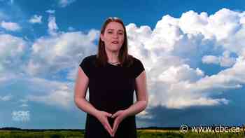 Don't know your cumulonimbus from your cirrus? We're here to help