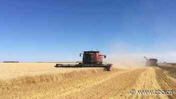 Rising input costs amid supply shortages stressful for Sask. farmers