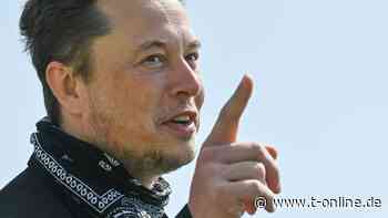 Social Media: Tesla-Chef Musk wird größter Twitter-Aktionär