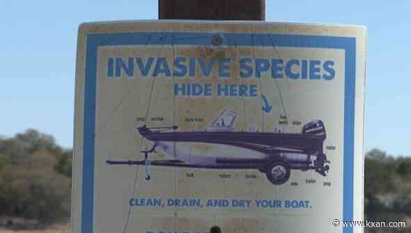 Copper joins the fight against zebra mussels in Lake Georgetown