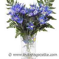 James 'Jim' Turner Sutton | Obituaries | indianagazette.com - Indiana Gazette