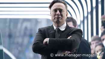 Twitter: Tesla-Chef Elon Musk ist jetzt größter Aktionär