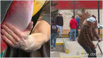 Shaw Millennium park upgrades will include a new climbing feature