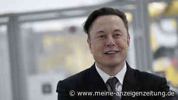Elon Musk: Tesla-Chef wird größter Twitter-Aktionär