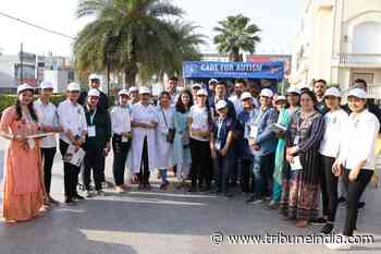 Marathon races mark World Autism Awareness Day - The Tribune India
