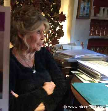 Brigitte Bardot aux Ukrainiens: "Vous gagnerez parce que Dieu le veut"