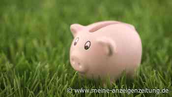 Gärtnern und Geld sparen: Mit diesen Tipps klappt es